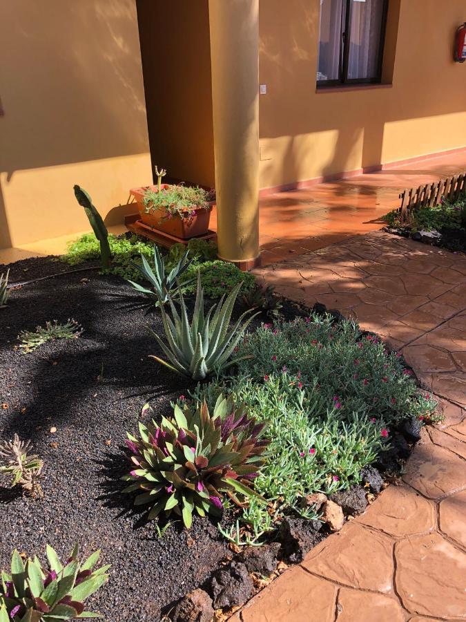 Casa Molly Daire Corralejo Dış mekan fotoğraf