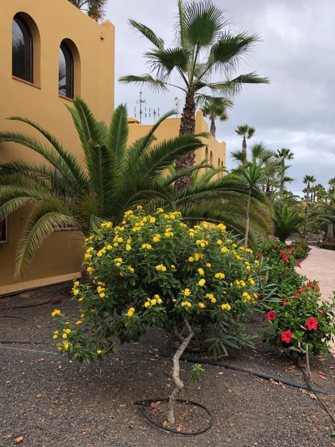 Casa Molly Daire Corralejo Dış mekan fotoğraf